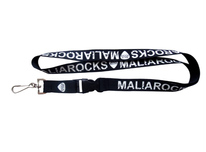 Pantone Screen Printing Lanyard School Event Branding
