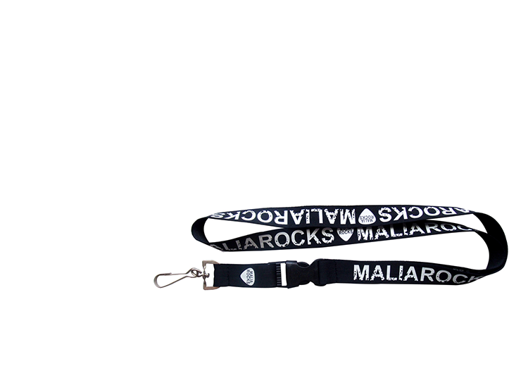 Lanyard