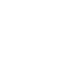 Metal Badge